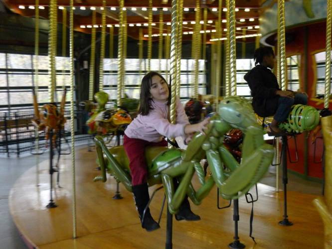USA_2011-11-21 15-22-27